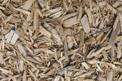biomass boilers Croesor